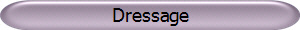 Dressage